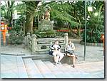 DSCF0100.JPG