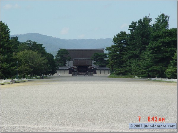 DSC01000.JPG