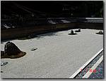 DSC00980.JPG