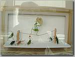 DSC01022.JPG