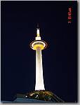 DSC01030.JPG