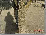 DSC01136.JPG