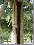 DSC01140.JPG