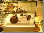 DSC01148.JPG