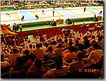DSC01187.JPG