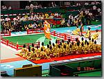 DSC01308.JPG