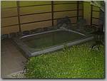 DSCF0222.JPG