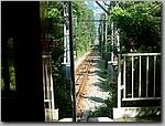 DSC01316.JPG