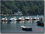 DSC01334.JPG