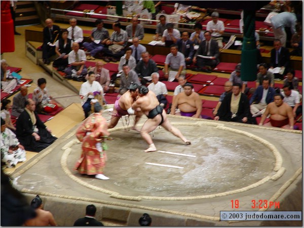 DSC01387.JPG