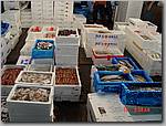 DSC01367.JPG