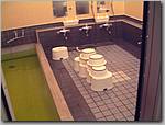 DSCF0423.JPG